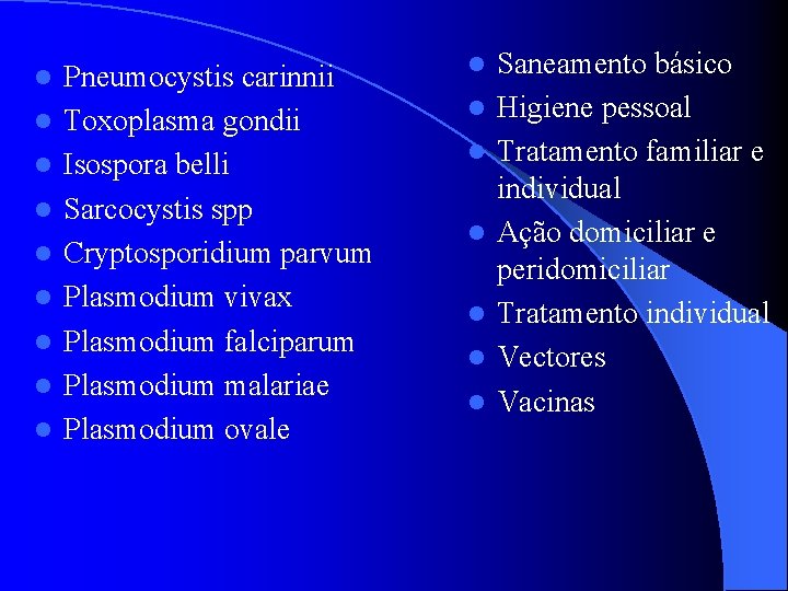 l l l l l Pneumocystis carinnii Toxoplasma gondii Isospora belli Sarcocystis spp Cryptosporidium