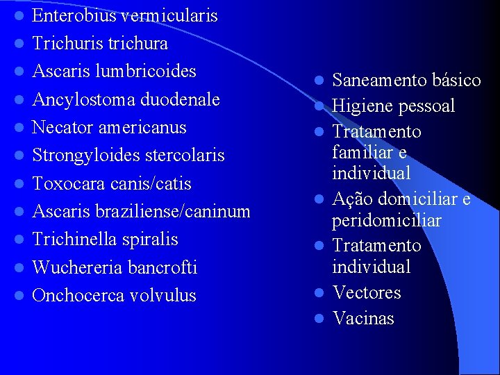 l l l Enterobius vermicularis Trichuris trichura Ascaris lumbricoides Ancylostoma duodenale Necator americanus Strongyloides