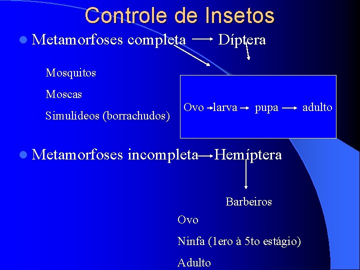 Controle de Insetos l Metamorfoses completa Díptera Mosquitos Moscas Simulídeos (borrachudos) l Metamorfoses Ovo