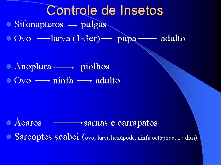 Controle de Insetos l Sifonapteros l Ovo pulgas larva (1 -3 er) l Anoplura