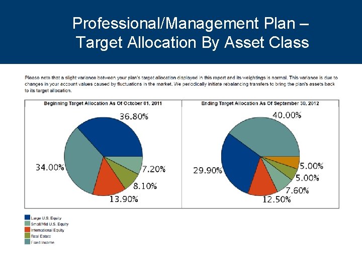 Professional/Management Plan – Target Allocation By Asset Class 