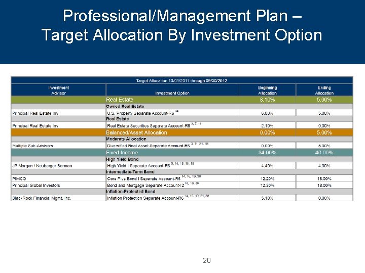 Professional/Management Plan – Target Allocation By Investment Option 20 