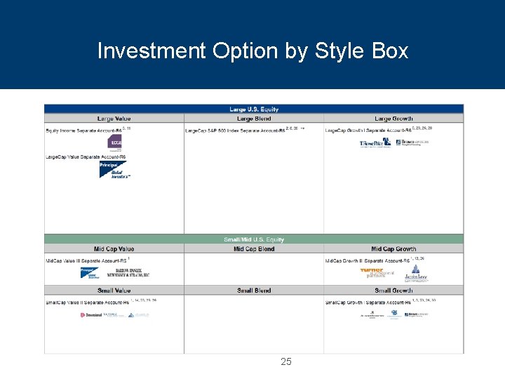 Investment Option by Style Box 25 
