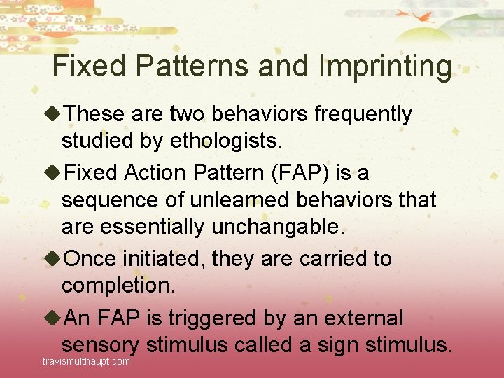 Fixed Patterns and Imprinting u. These are two behaviors frequently studied by ethologists. u.