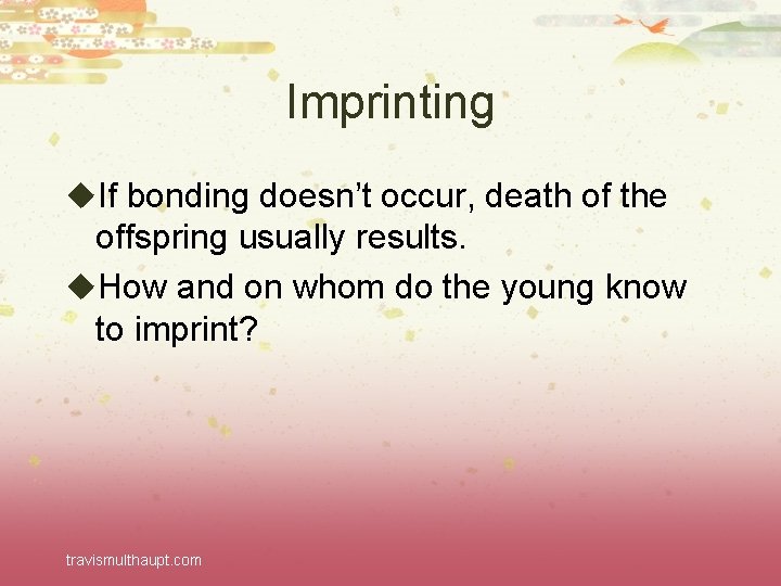 Imprinting u. If bonding doesn’t occur, death of the offspring usually results. u. How