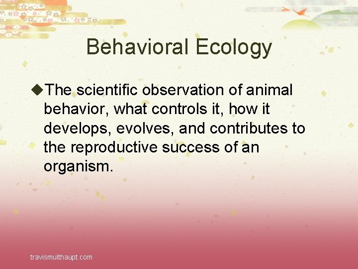 Behavioral Ecology u. The scientific observation of animal behavior, what controls it, how it