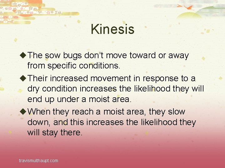 Kinesis u The sow bugs don’t move toward or away from specific conditions. u