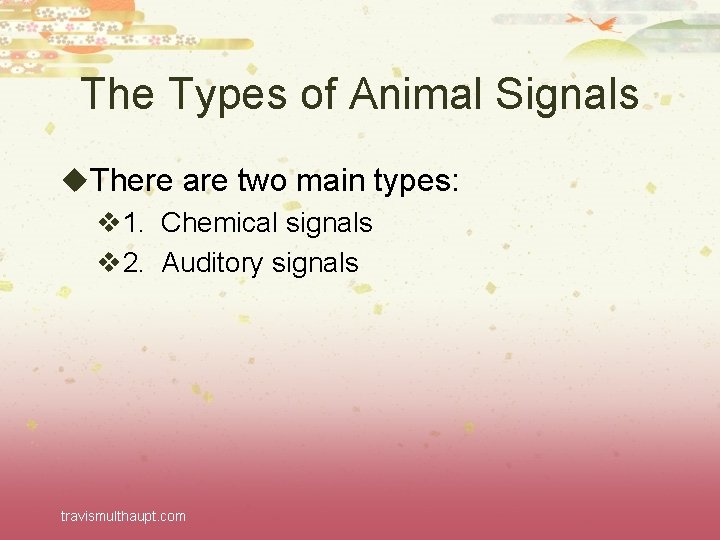 The Types of Animal Signals u. There are two main types: v 1. Chemical