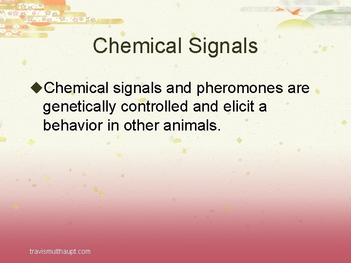 Chemical Signals u. Chemical signals and pheromones are genetically controlled and elicit a behavior