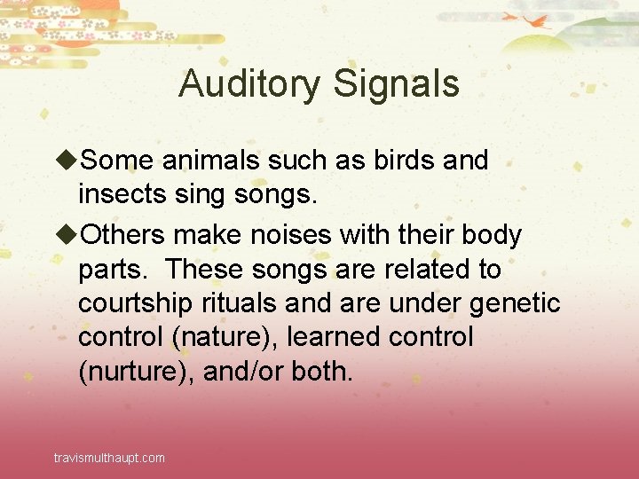 Auditory Signals u. Some animals such as birds and insects sing songs. u. Others