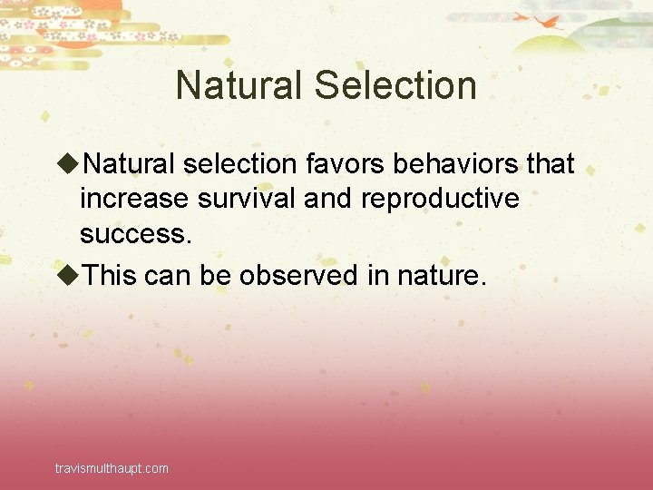 Natural Selection u. Natural selection favors behaviors that increase survival and reproductive success. u.