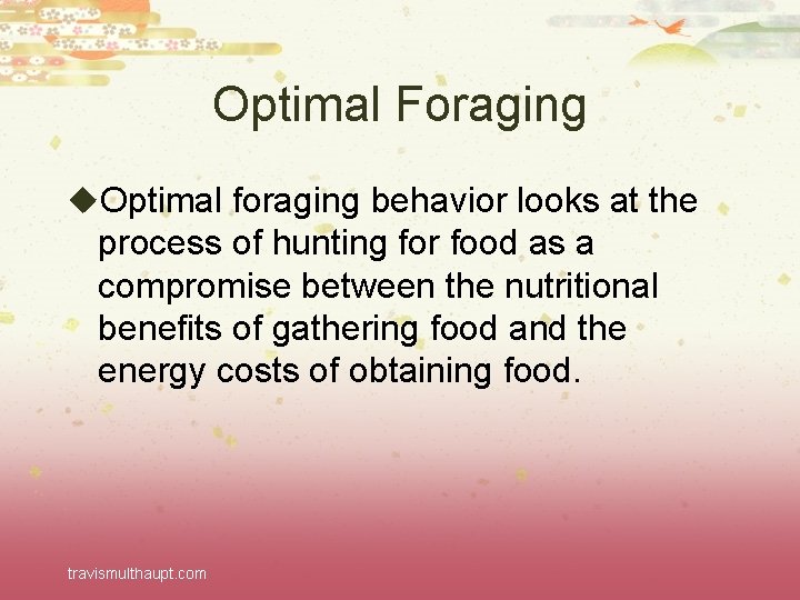 Optimal Foraging u. Optimal foraging behavior looks at the process of hunting for food