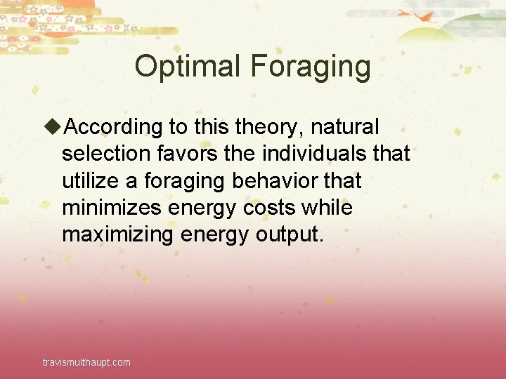 Optimal Foraging u. According to this theory, natural selection favors the individuals that utilize