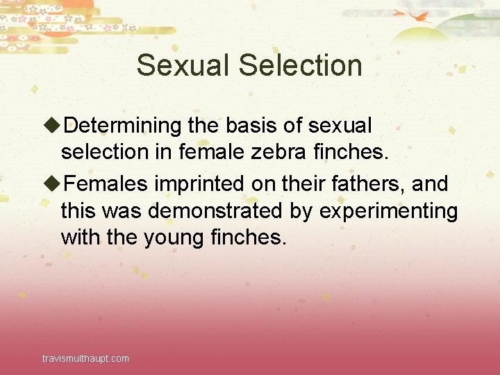 Sexual Selection u. Determining the basis of sexual selection in female zebra finches. u.