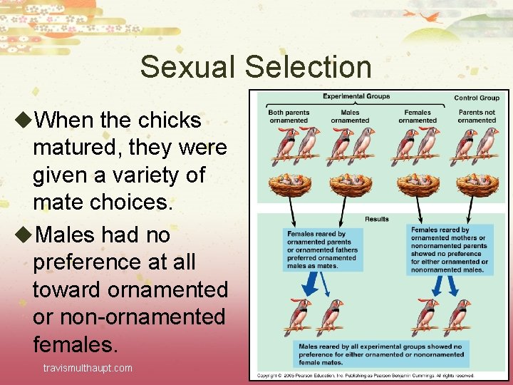 Sexual Selection u. When the chicks matured, they were given a variety of mate