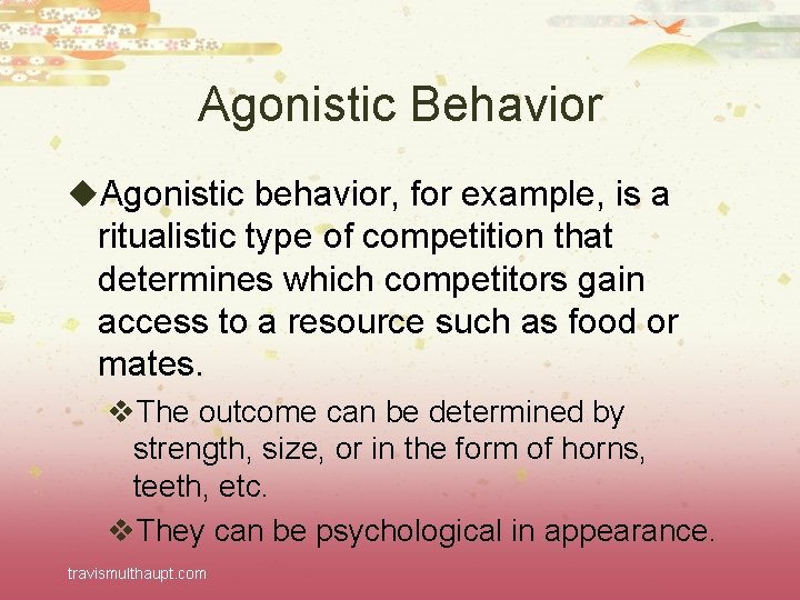 Agonistic Behavior u. Agonistic behavior, for example, is a ritualistic type of competition that