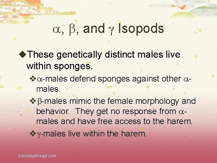  , , and Isopods u. These genetically distinct males live within sponges. v