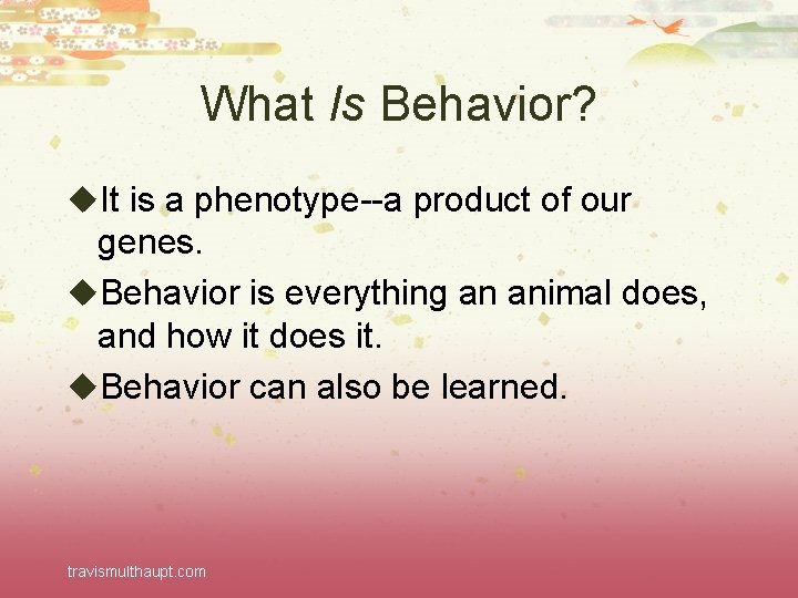 What Is Behavior? u. It is a phenotype--a product of our genes. u. Behavior