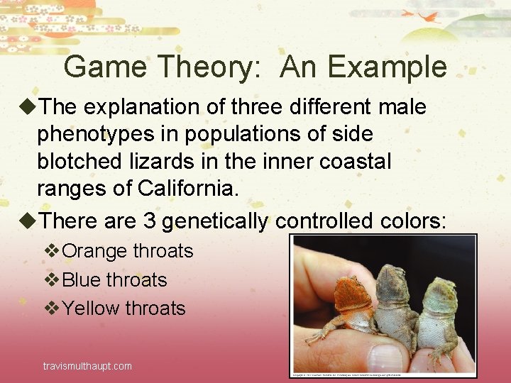 Game Theory: An Example u. The explanation of three different male phenotypes in populations