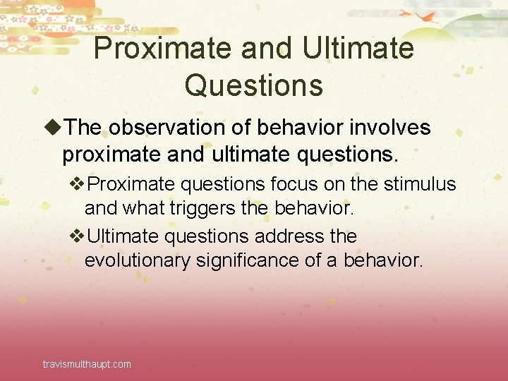 Proximate and Ultimate Questions u. The observation of behavior involves proximate and ultimate questions.