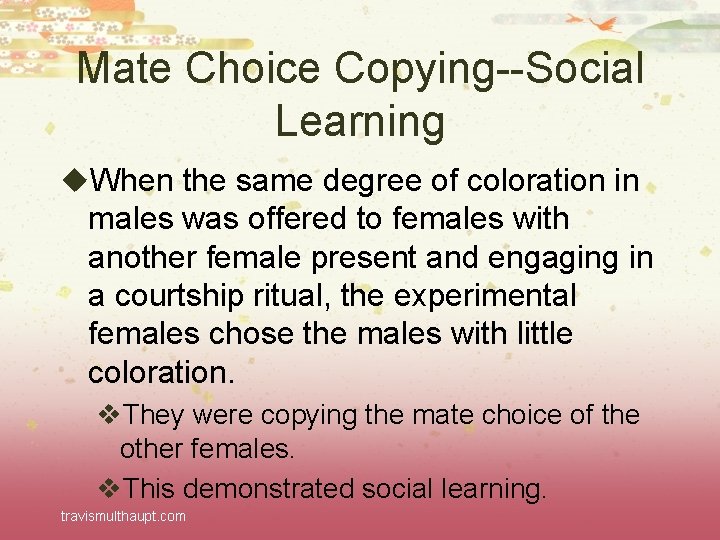 Mate Choice Copying--Social Learning u. When the same degree of coloration in males was