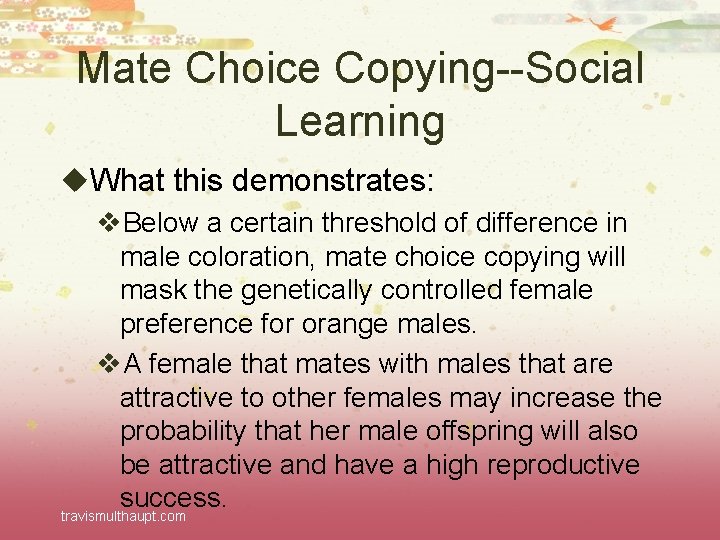 Mate Choice Copying--Social Learning u. What this demonstrates: v. Below a certain threshold of