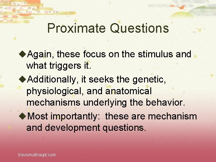 Proximate Questions u. Again, these focus on the stimulus and what triggers it. u.