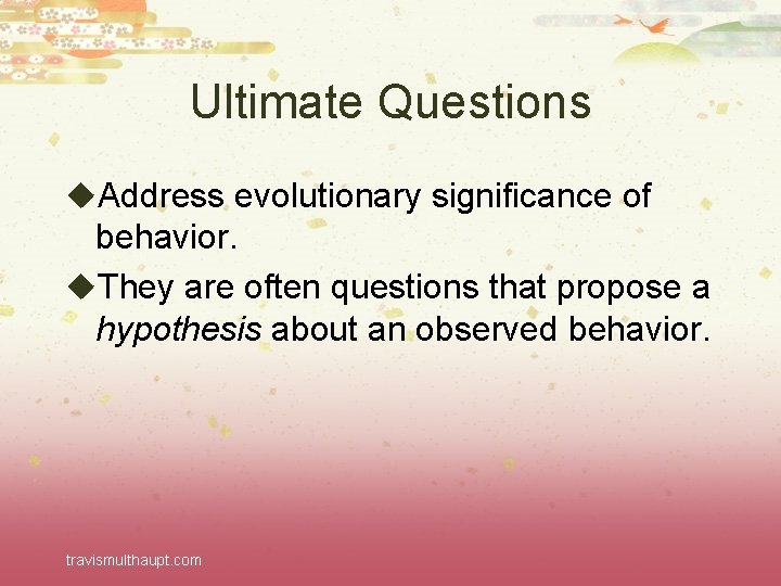 Ultimate Questions u. Address evolutionary significance of behavior. u. They are often questions that