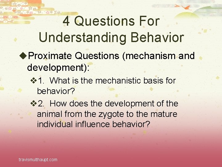 4 Questions For Understanding Behavior u. Proximate Questions (mechanism and development): v 1. What