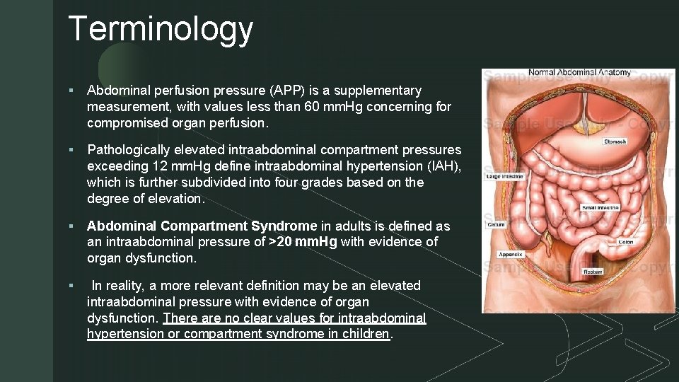 Terminology z § Abdominal perfusion pressure (APP) is a supplementary measurement, with values less