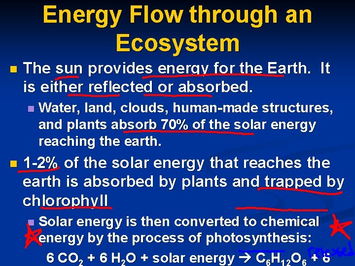 Energy Flow through an Ecosystem n The sun provides energy for the Earth. It