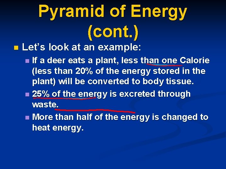 Pyramid of Energy (cont. ) n Let’s look at an example: If a deer