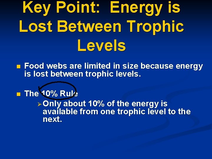 Key Point: Energy is Lost Between Trophic Levels n Food webs are limited in
