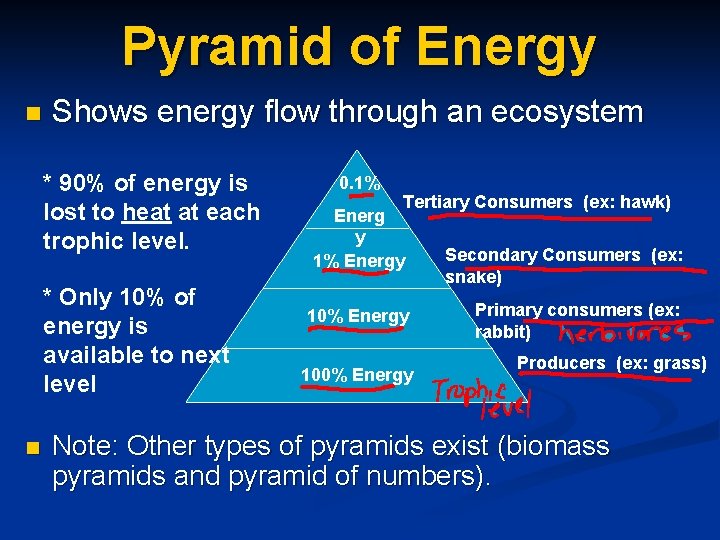 Pyramid of Energy n Shows energy flow through an ecosystem * 90% of energy