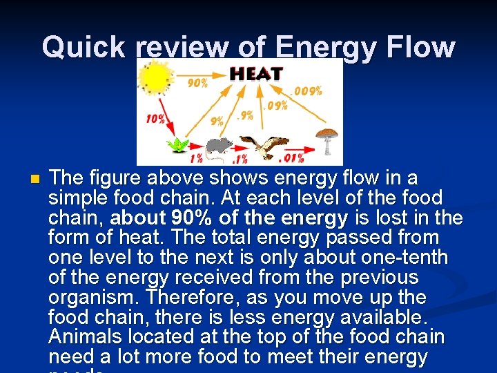 Quick review of Energy Flow n The figure above shows energy flow in a