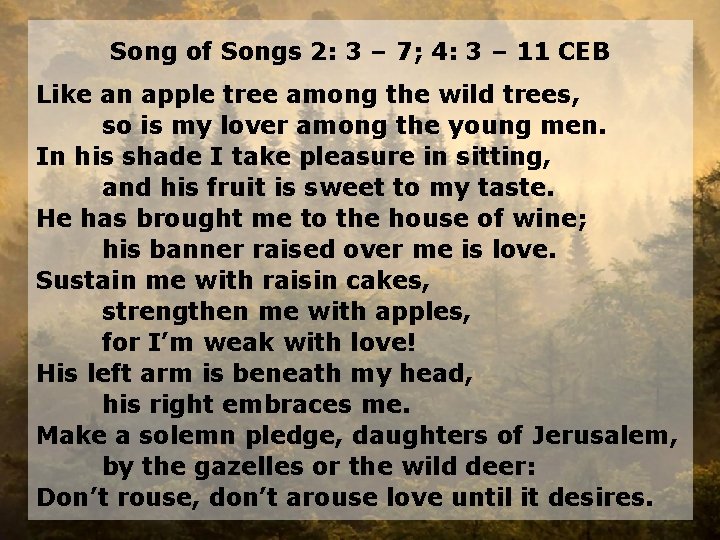 Song of Songs 2: 3 – 7; 4: 3 – 11 CEB Like an