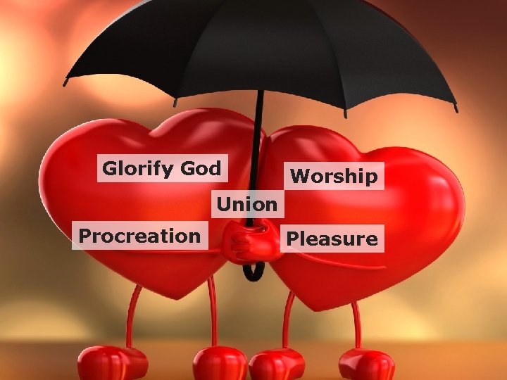 Glorify God Worship Union Procreation Pleasure 