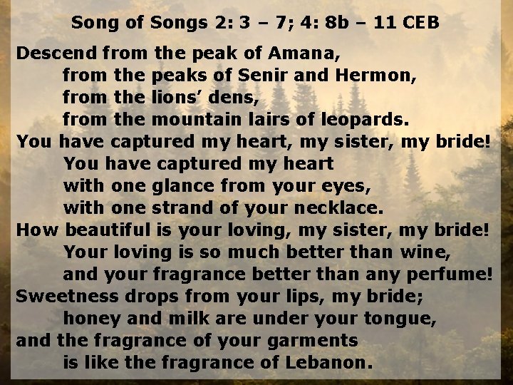 Song of Songs 2: 3 – 7; 4: 8 b – 11 CEB Descend