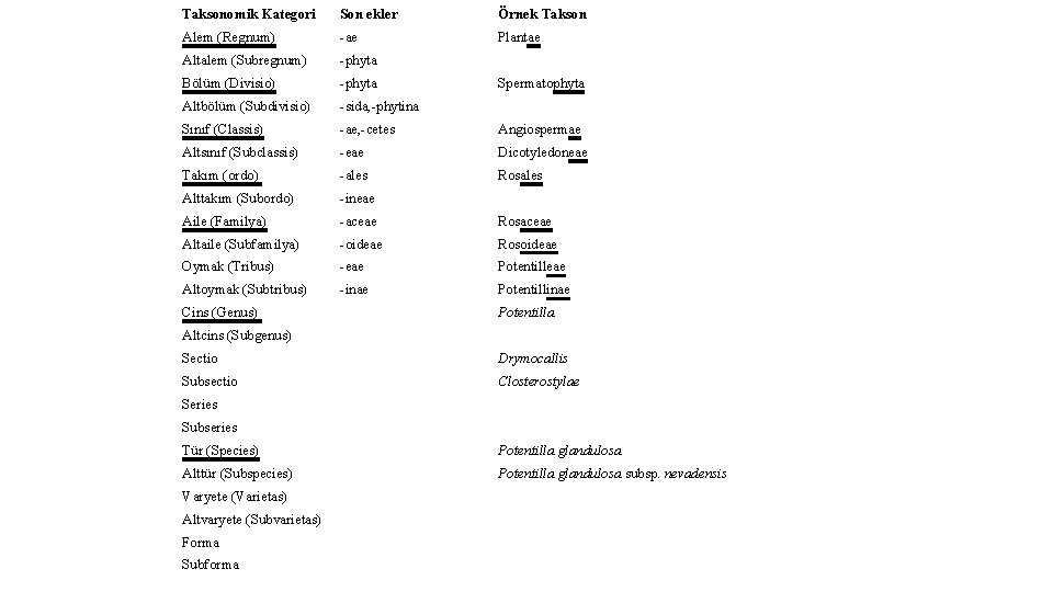 Taksonomik Kategori Son ekler Örnek Takson Alem (Regnum) -ae Plantae Altalem (Subregnum) -phyta Bölüm