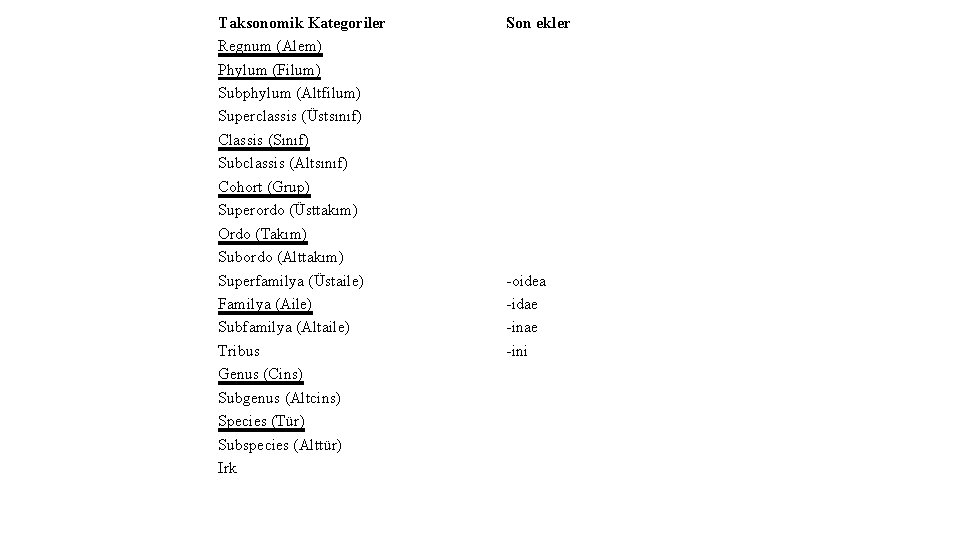 Taksonomik Kategoriler Regnum (Alem) Phylum (Filum) Subphylum (Altfilum) Superclassis (Üstsınıf) Classis (Sınıf) Subclassis (Altsınıf)