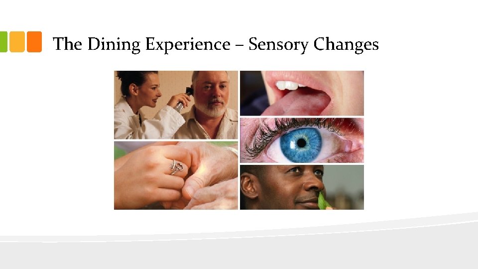 The Dining Experience – Sensory Changes 