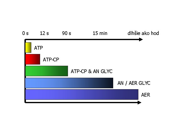 0 s 12 s 90 s 15 min dlhšie ako hod ATP-CP & AN