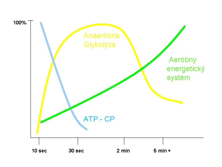 100% Anaeróbna Glykolýza Aeróbny energetický systém ATP - CP 10 sec 30 sec 2