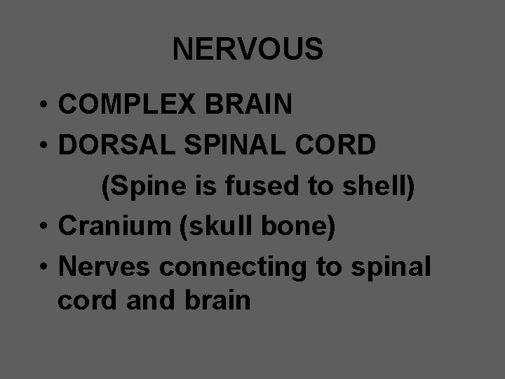 NERVOUS • COMPLEX BRAIN • DORSAL SPINAL CORD (Spine is fused to shell) •