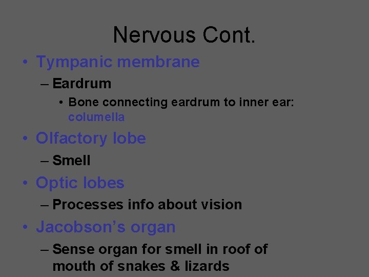 Nervous Cont. • Tympanic membrane – Eardrum • Bone connecting eardrum to inner ear: