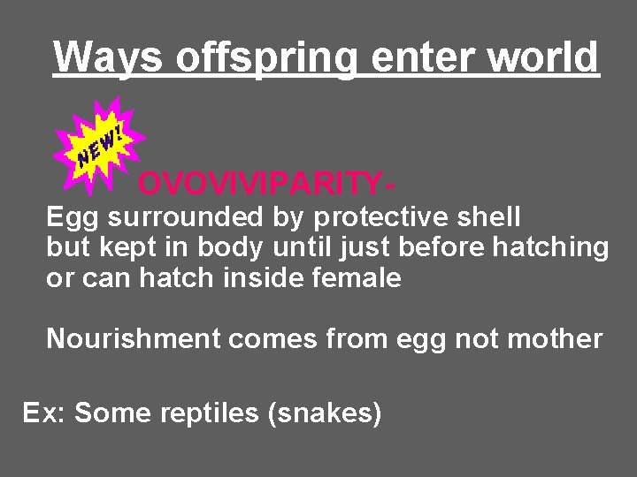 Ways offspring enter world OVOVIVIPARITY- Egg surrounded by protective shell but kept in body