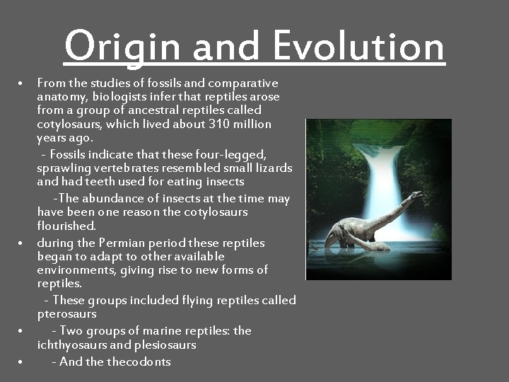 Origin and Evolution • From the studies of fossils and comparative anatomy, biologists infer