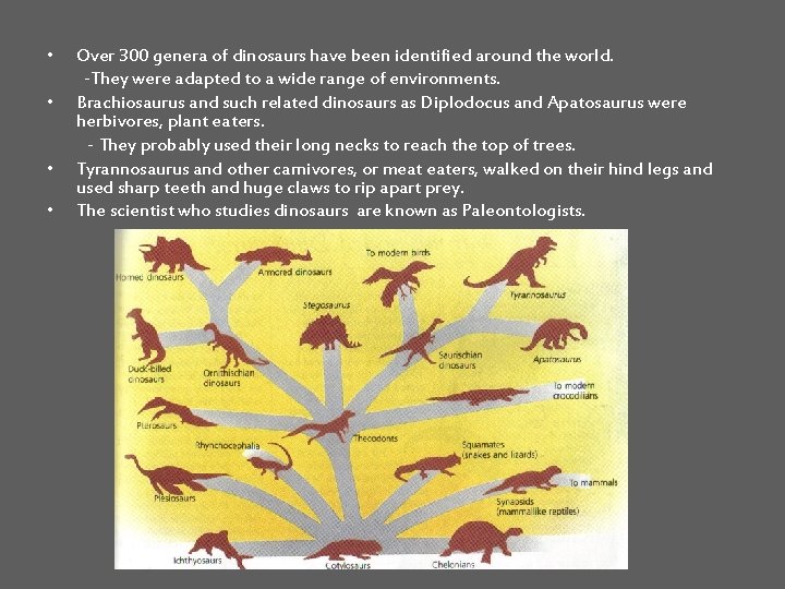  • • Over 300 genera of dinosaurs have been identified around the world.