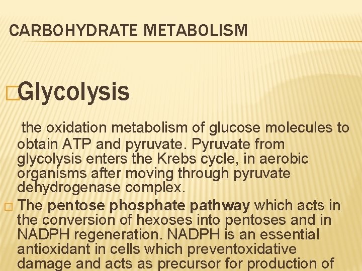 CARBOHYDRATE METABOLISM �Glycolysis the oxidation metabolism of glucose molecules to obtain ATP and pyruvate.
