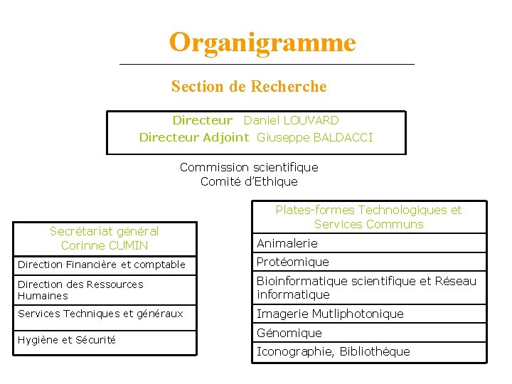 Organigramme Section de Recherche Directeur Daniel LOUVARD Directeur Adjoint Giuseppe BALDACCI Commission scientifique Comité